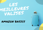 valise amazon basics
