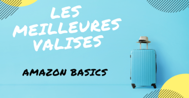 valise amazon basics