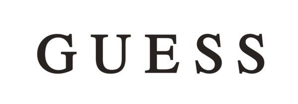 logo guess