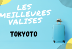 AVIS VALISE TOKYOTO