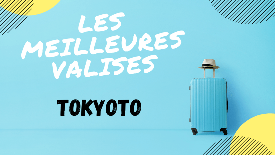 AVIS VALISE TOKYOTO