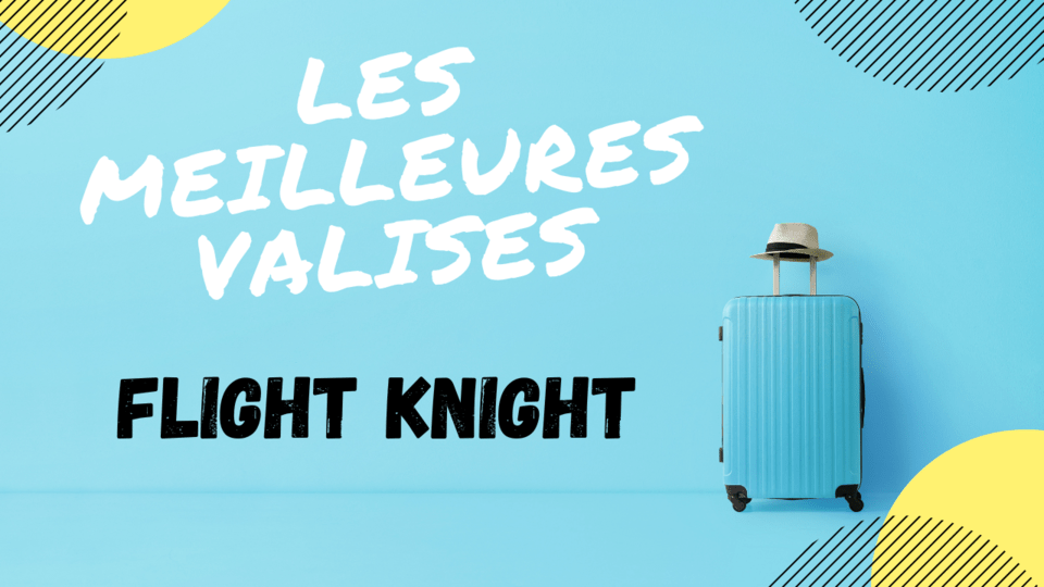 avis valise flight knight