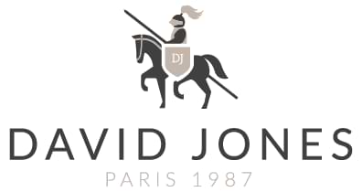 logo david jones