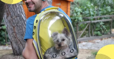 meilleur sac a dos chien