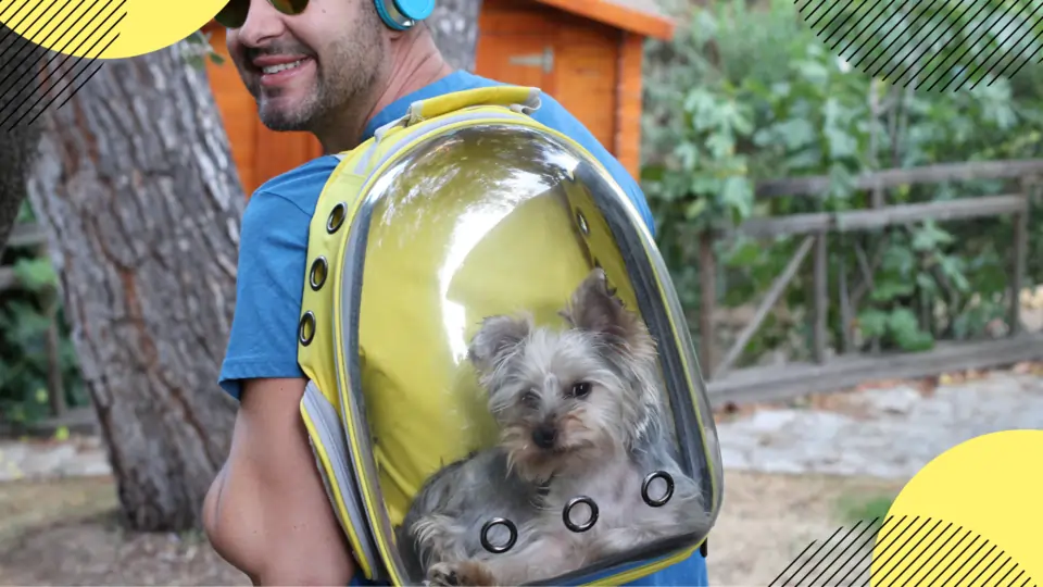 meilleur sac a dos chien